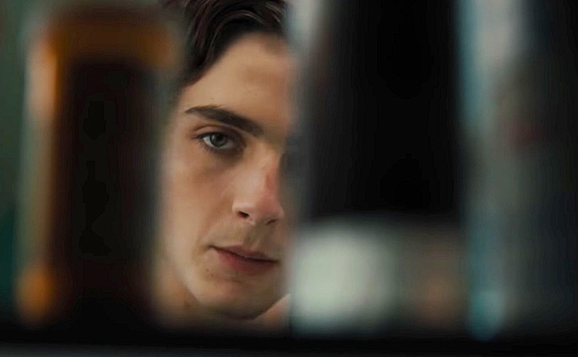 Beautiful Boy proves Timothée Chalamet is the real deal